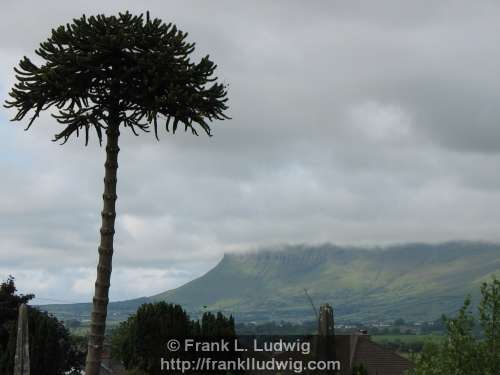 Benbulben from Sligo Cemetery